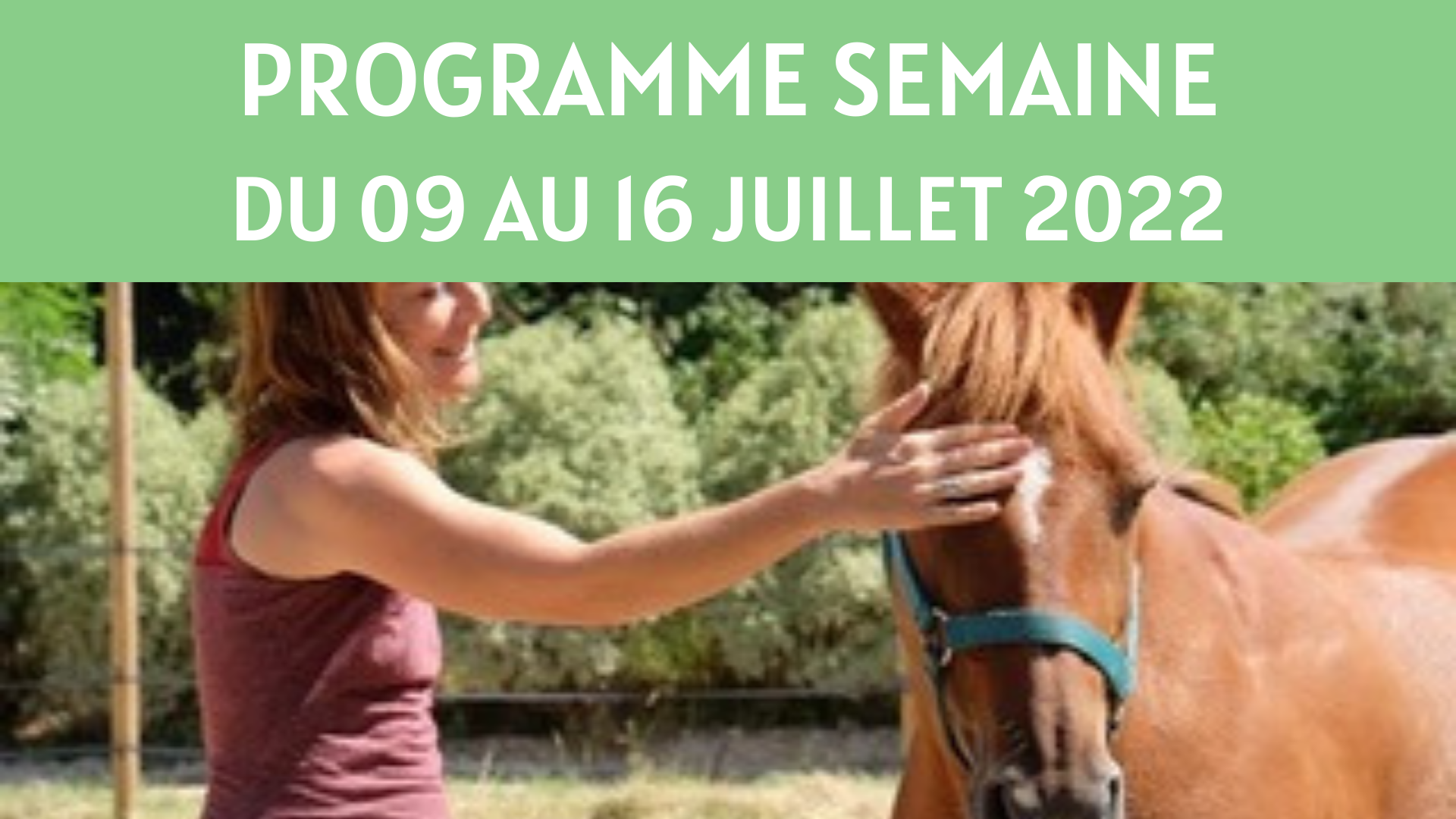 27p_illust_programmes_1