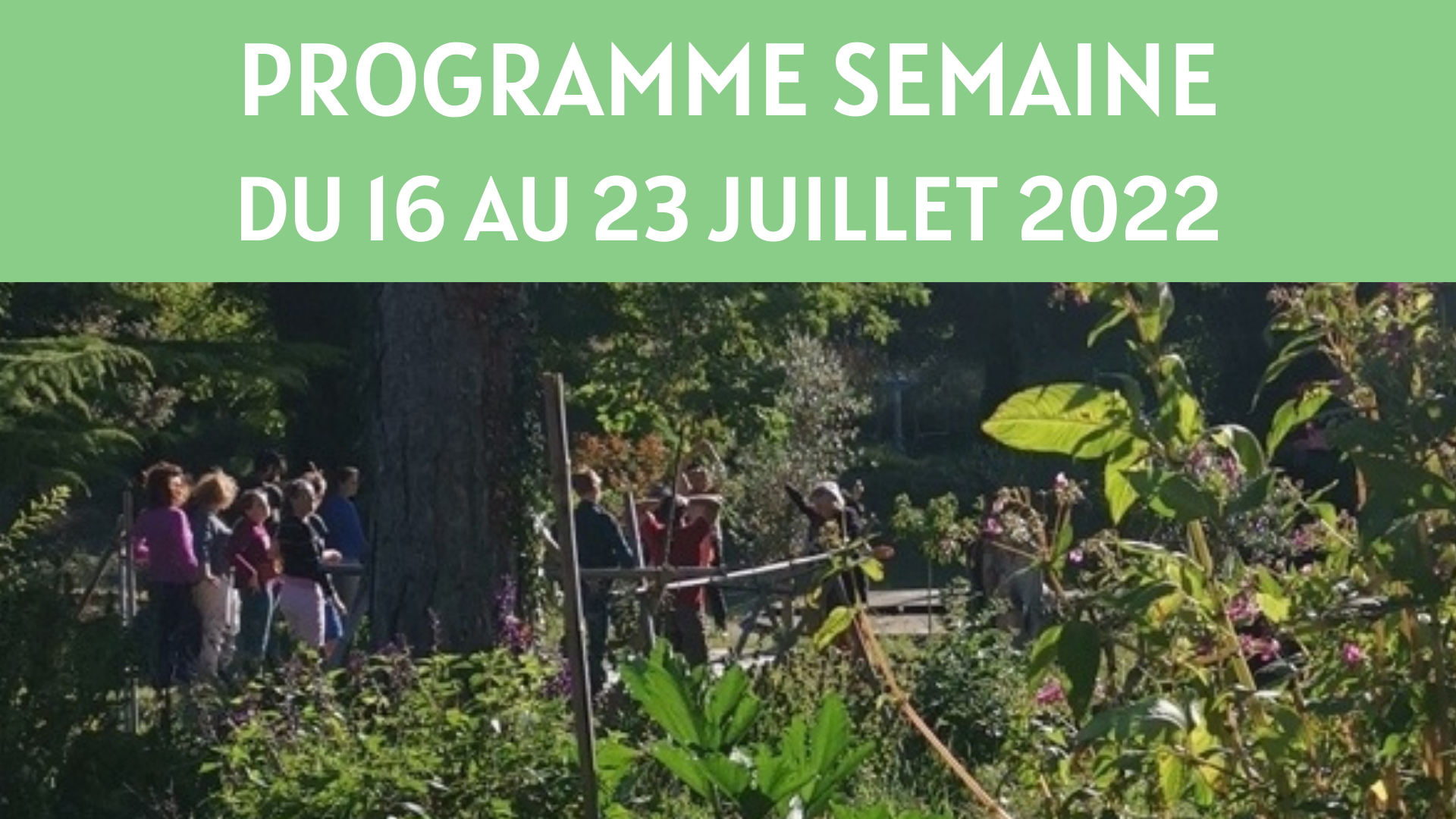 27p_illust_programmes_2